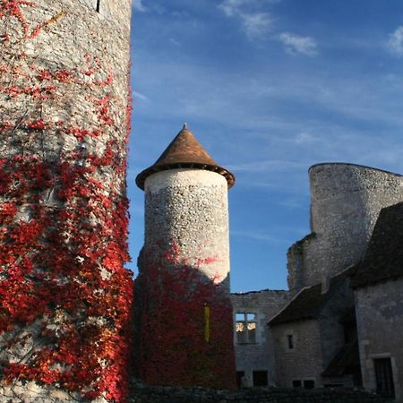 Chateau D'Ingrandes Ingrandes  Εξωτερικό φωτογραφία
