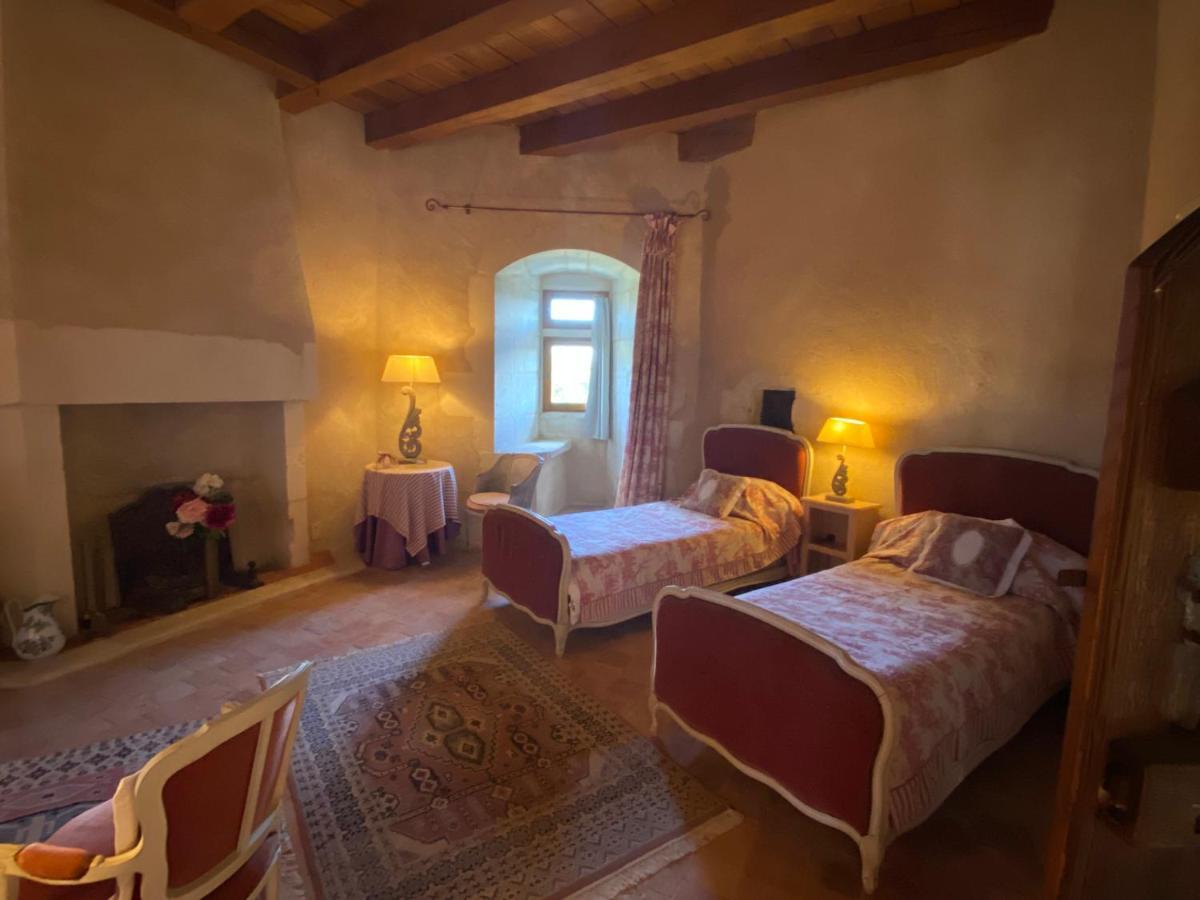 Chateau D'Ingrandes Ingrandes  Εξωτερικό φωτογραφία