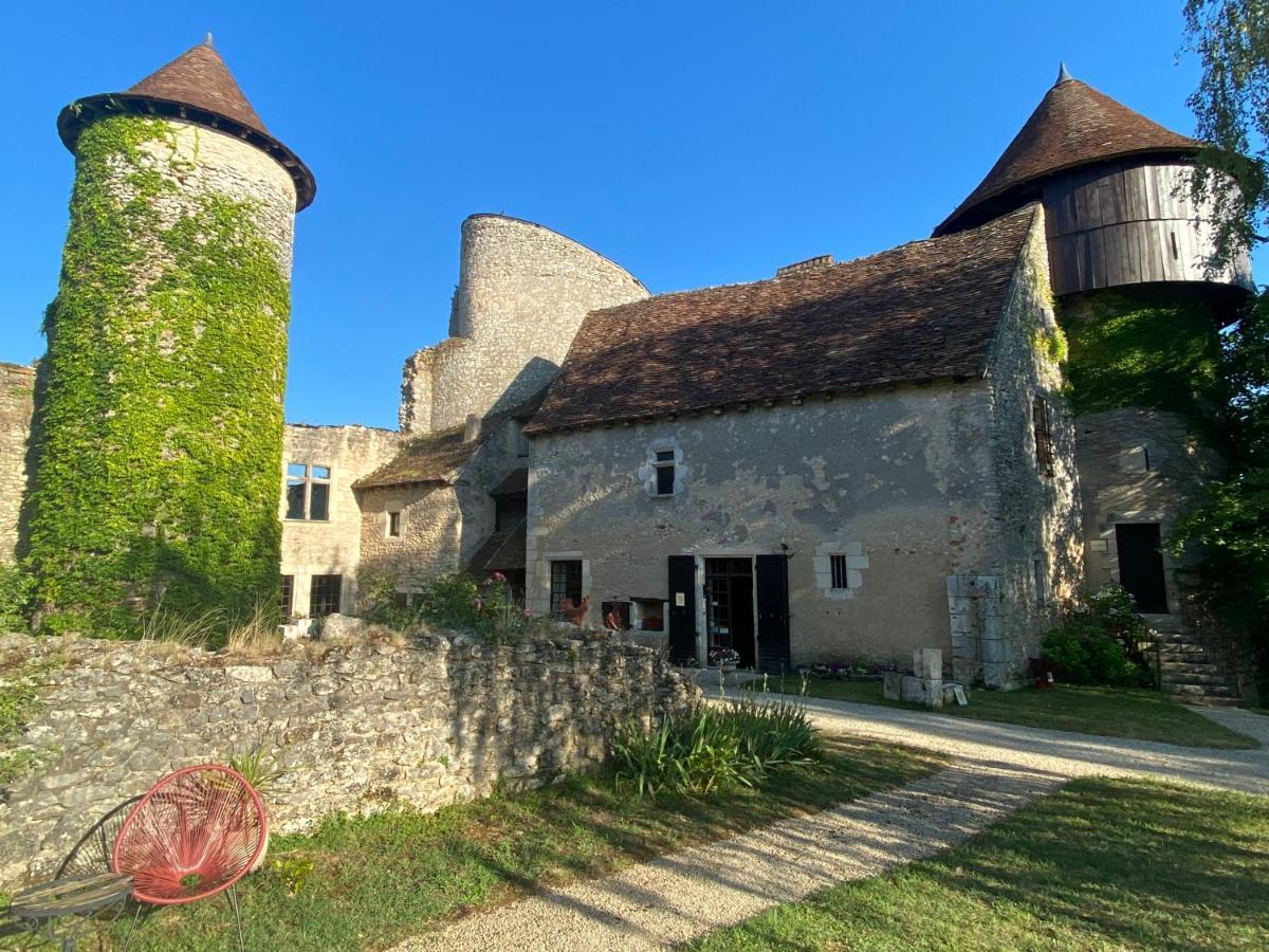 Chateau D'Ingrandes Ingrandes  Εξωτερικό φωτογραφία