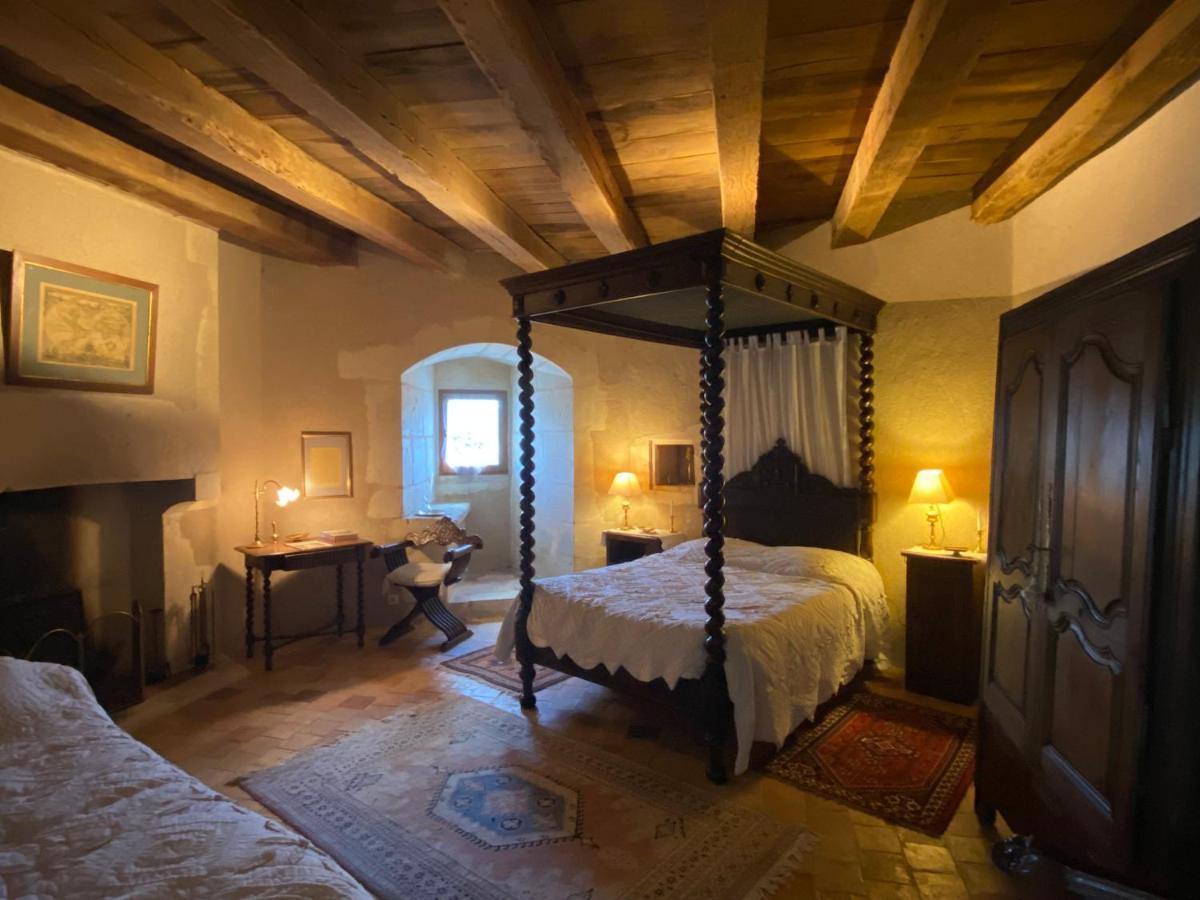 Chateau D'Ingrandes Ingrandes  Εξωτερικό φωτογραφία