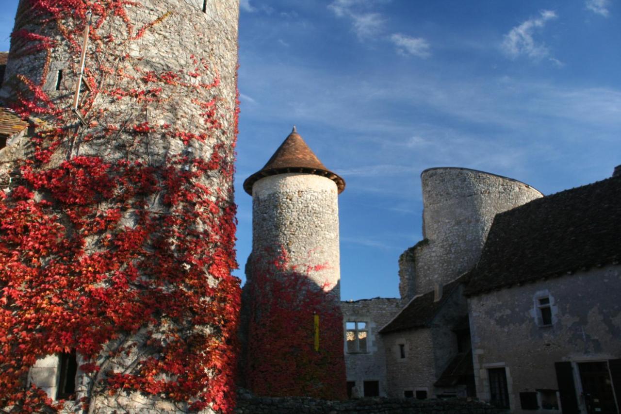 Chateau D'Ingrandes Ingrandes  Εξωτερικό φωτογραφία