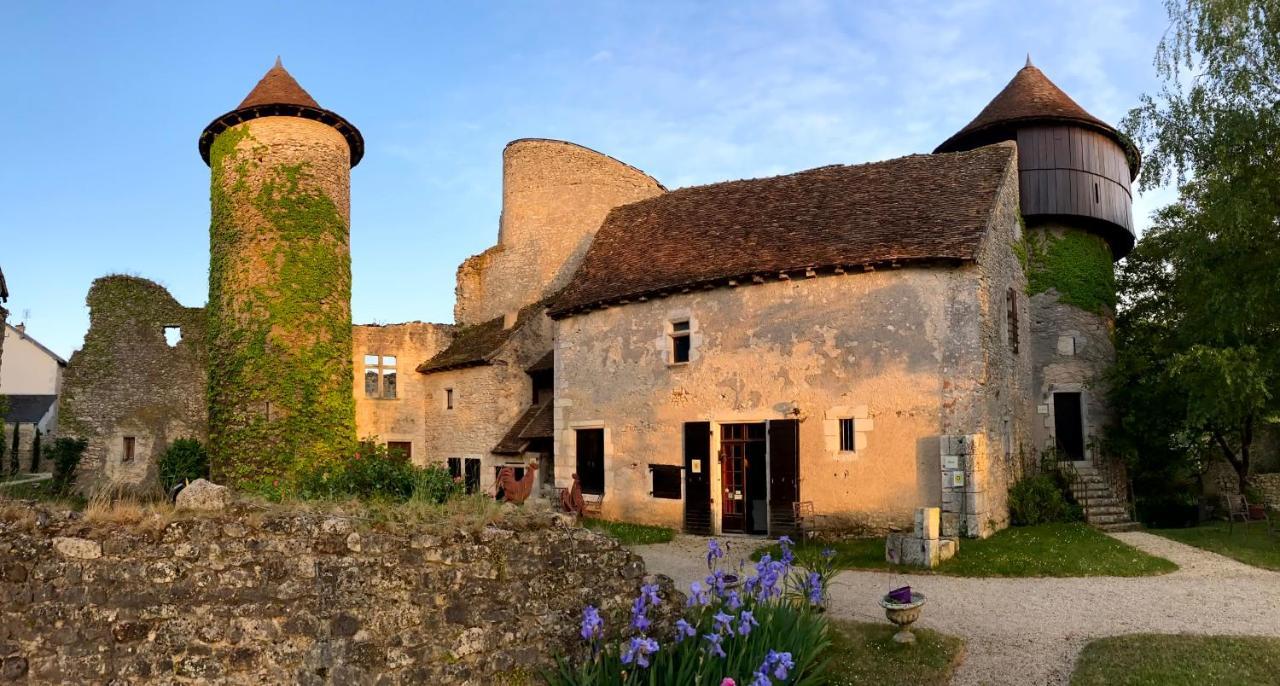 Chateau D'Ingrandes Ingrandes  Εξωτερικό φωτογραφία