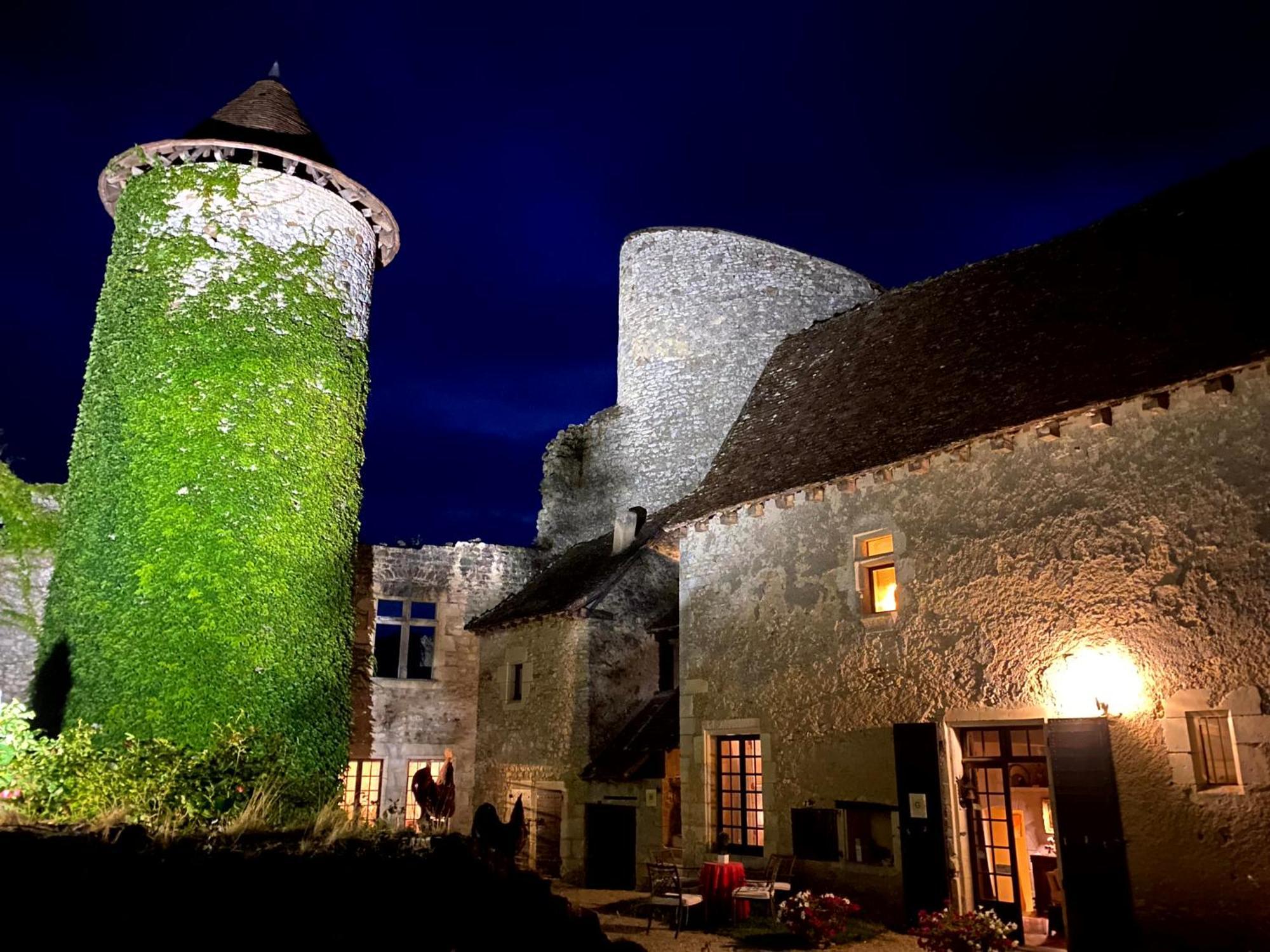 Chateau D'Ingrandes Ingrandes  Εξωτερικό φωτογραφία
